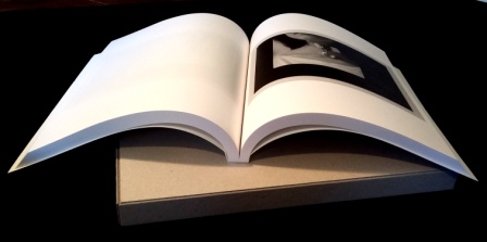 livre blanc daniel brush
